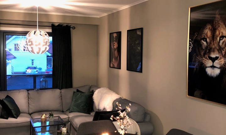 Elvedalen borettslag - 2-roms leilighet i 2. etasje